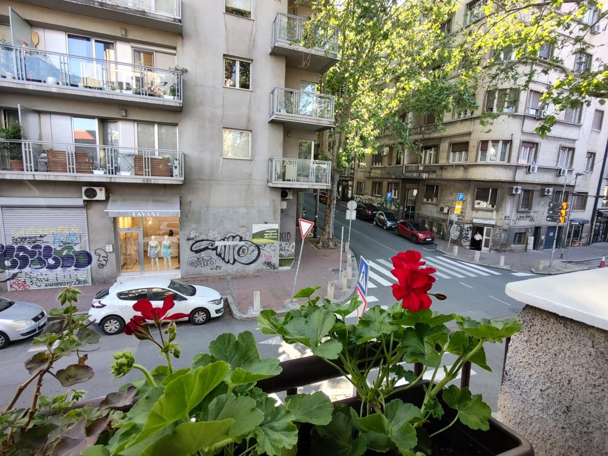 Bgholik Studio Apartment Belgrade Exterior photo